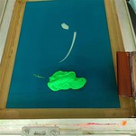 Polyester ekran enprime lank